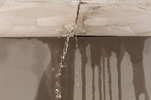 Professional Water Damage Repair technician working in Stockton, AL